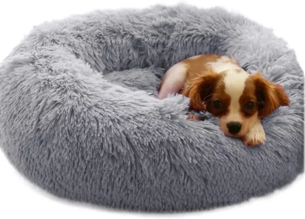 Dog bed monochromatic