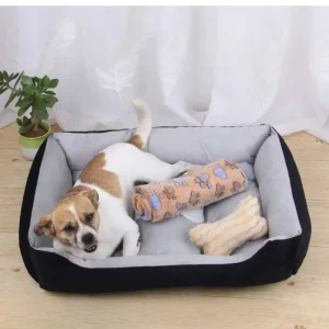 Dog bed size