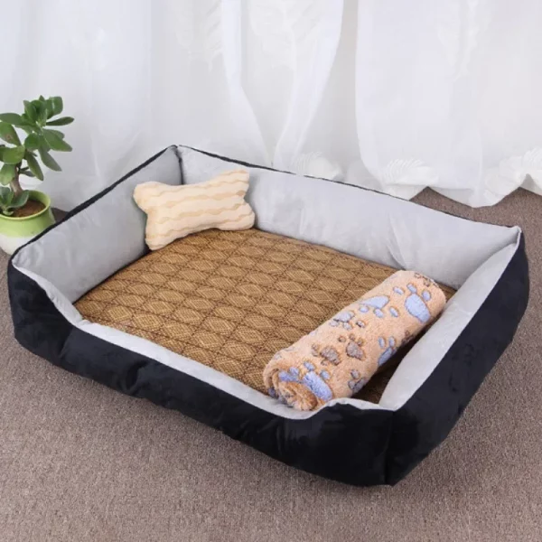 Dog bed famous