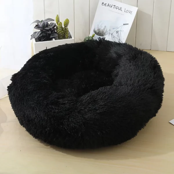 Dog bed best products