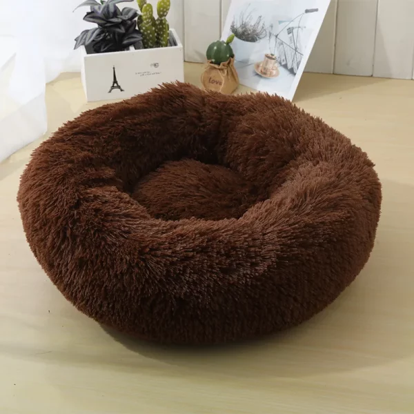 Dog bed animals