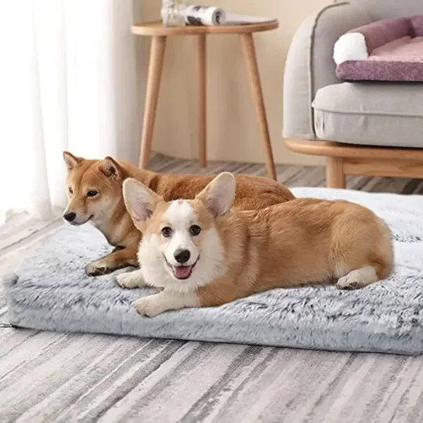 Dog bed cleaning