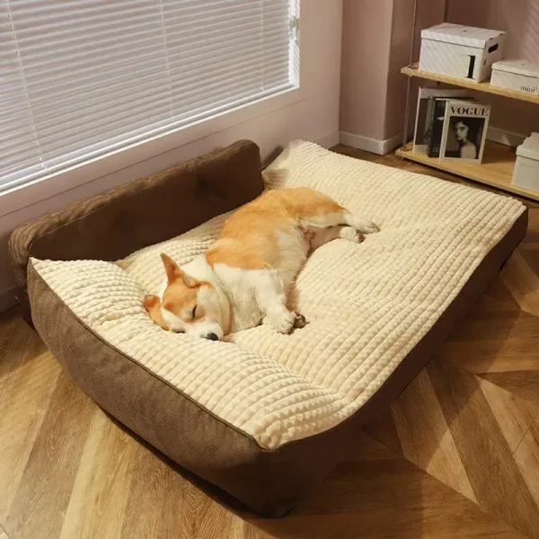 Dog bed removable