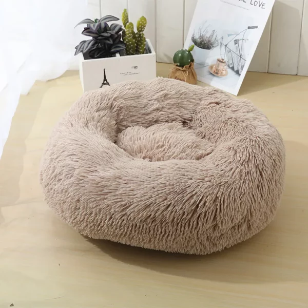 Dog bed best products