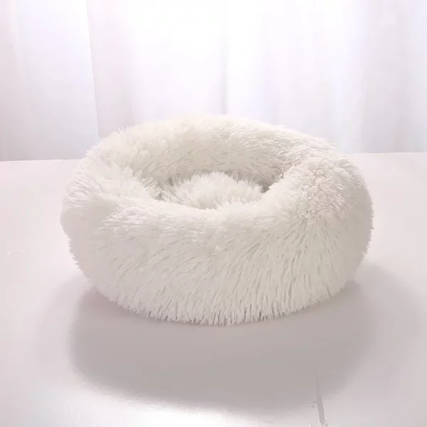 Dog bed labrador