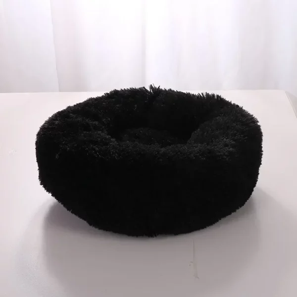 Dog bed labrador