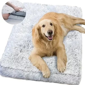 Dog bed cleaning