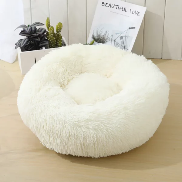 Dog bed best products