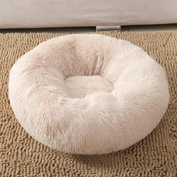 Dog bed animals