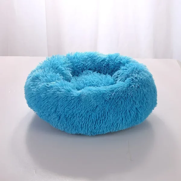 Dog bed labrador