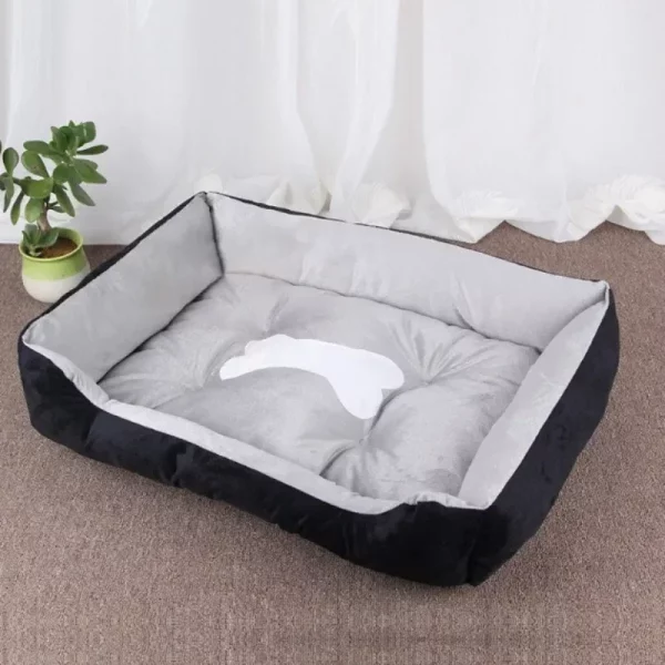 Dog bed famous pet