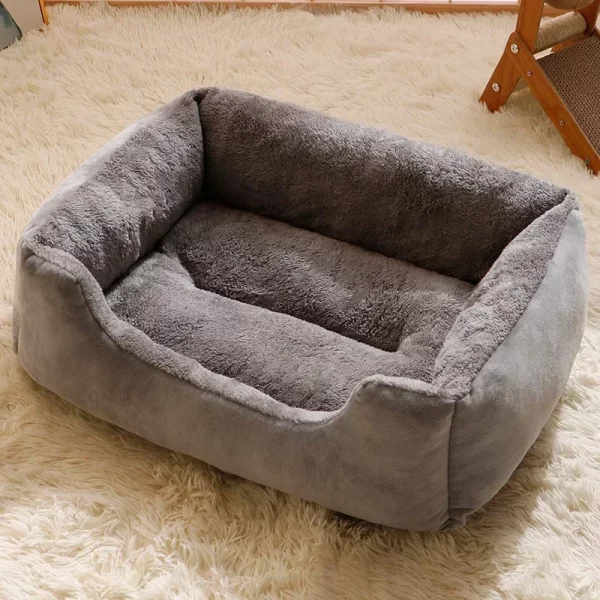 Dog bed candy-colored square