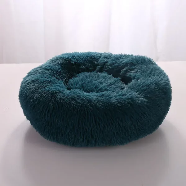 Dog bed labrador