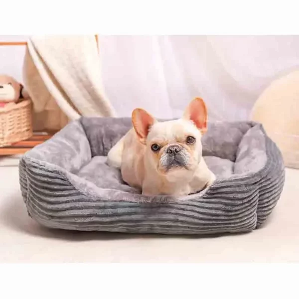 Dog bed rectangle