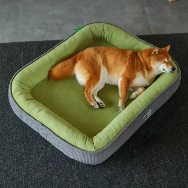 Dog bed reinforced