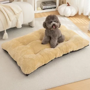 Dog bed dampproof