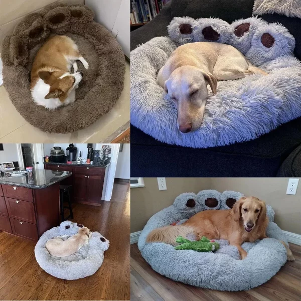 Dog bed paw shape