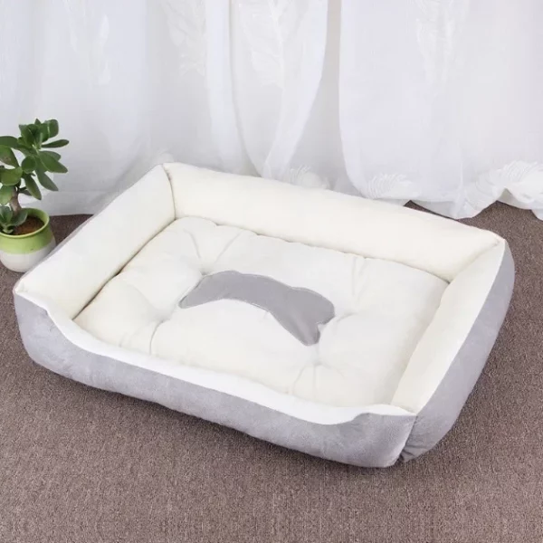 Dog bed famous