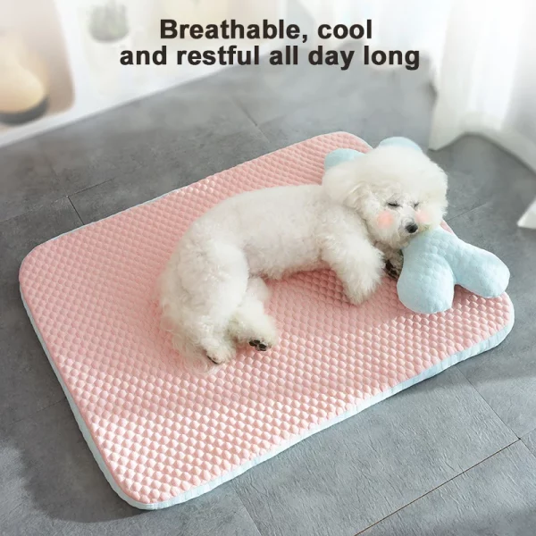 Dog bed light