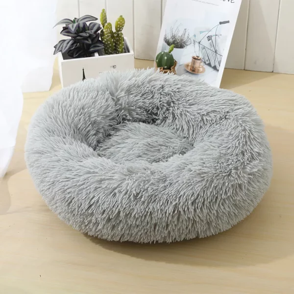 Dog bed animals