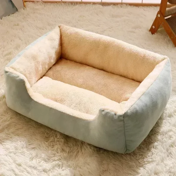 Dog bed cartoon