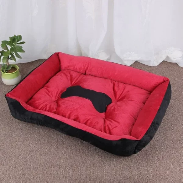 Dog bed famous