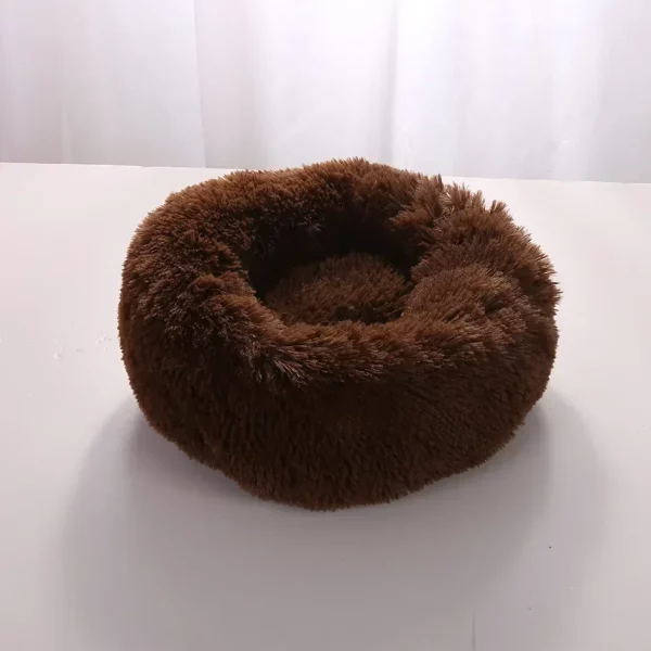 Dog bed labrador